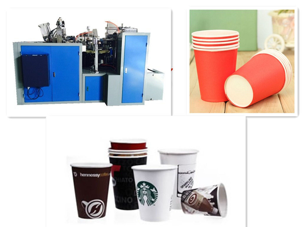 Evaluation Paper Cup best