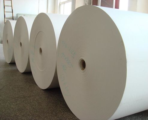 Professional Coffee / Ice Cream Paper Cup Fan / Paper Sheet/ Cup Paper 135-450Gram